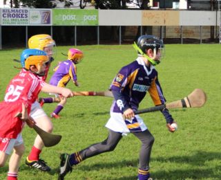 Kilmacud Crokes Hurling Blitz Oct 2013 (29)_W