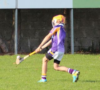 Kilmacud Crokes Hurling Blitz Oct 2013 (33)_W