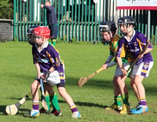 Kilmacud Crokes Hurling Blitz Oct 2013 (43)_W