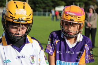Kilmacud Crokes Hurling Blitz Oct 2013 (46)_W
