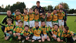 Kilmacud Crokes Hurling Blitz Oct 2013 (60)_W
