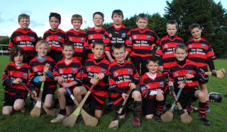 Kilmacud Crokes Hurling Blitz Oct 2013 (61)_W