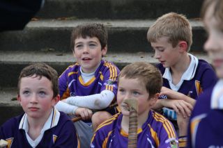 Kilmacud Crokes Hurling Blitz Oct 2013 (65)_W