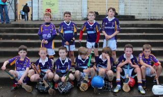 Kilmacud Crokes Hurling Blitz Oct 2013 (67)_W