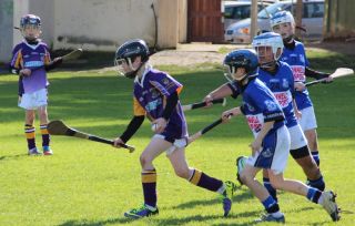 Kilmacud Crokes Hurling Blitz Oct 2013 (8)_W