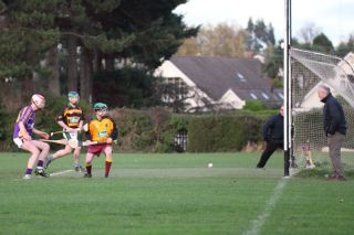 2013_11_30_82175U21B_DavidsW