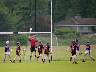 2014_06_082819_AHL9_RltDeargW