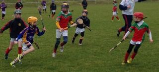 Kilmacud Crokes U9s vs James Stephens