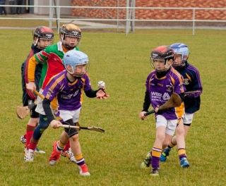 Kilmacud Crokes U9s vs James Stephens