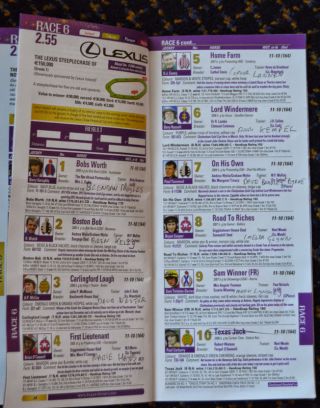 2014 Lexus Race Day at Leopardstown