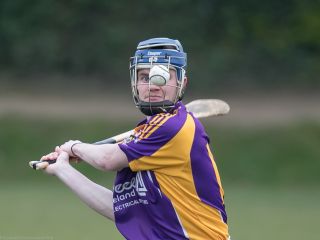 AHL2 v Barrs