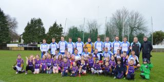 Dubs Stars in Glenalbyn - Reports and Photographs
