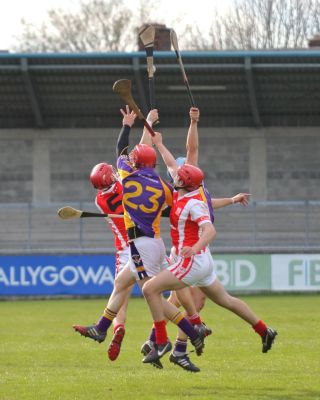 SHC - Cuala v Crokes