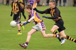 Féile B Team - Reports and Photographs
