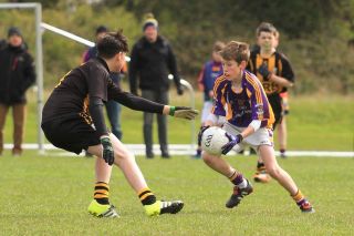 Féile B Team - Reports and Photographs