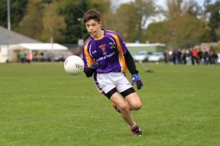Féile B Team - Reports and Photographs