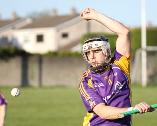 AHL2 action v Parnells