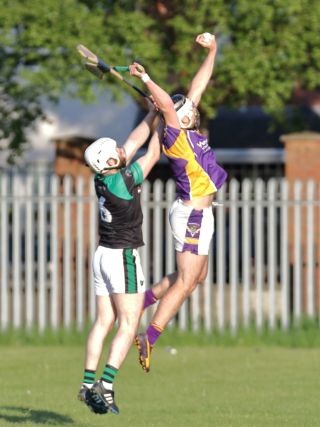 AHL2 action v Parnells