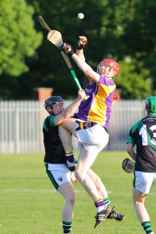 AHL2 action v Parnells