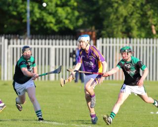 AHL2 action v Parnells