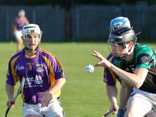 AHL2 action v Parnells