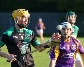 AHL2 action v Parnells