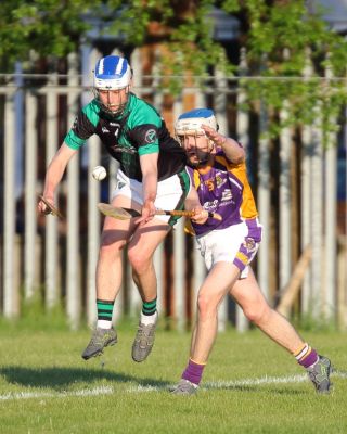 AHL2 action v Parnells