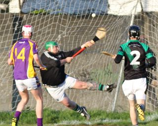 AHL2 action v Parnells