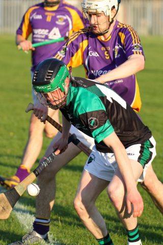 AHL2 action v Parnells
