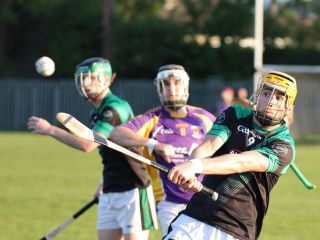 AHL2 action v Parnells