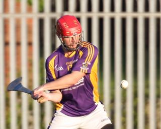 AHL2 action v Parnells