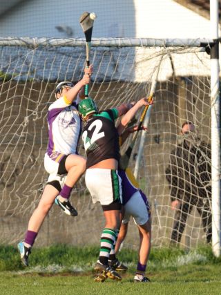 AHL2 action v Parnells