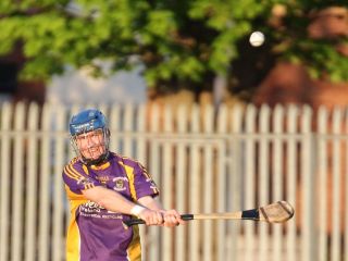 AHL2 action v Parnells