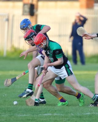 AHL2 action v Parnells