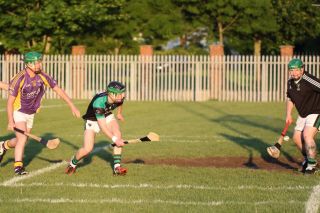 AHL2 action v Parnells
