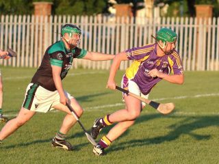 AHL2 action v Parnells