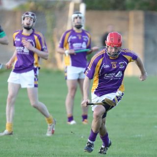 AHL2 action v Parnells