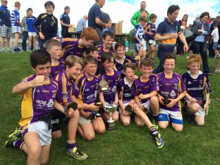 U12 footballers do the double in Naas !