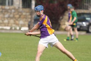 MHL1 v Lucan