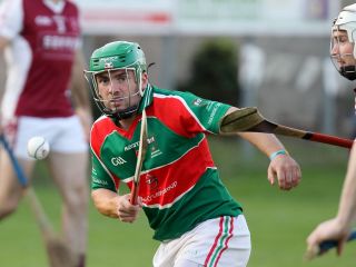 Hurling 7s