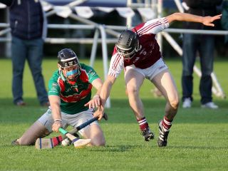Hurling 7s