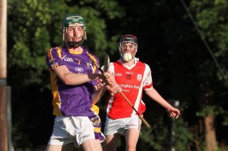 Crokes take the points in MHL1 v Cuala