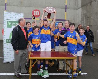Applegreen All Ireland Hurling 7s - Under 13 Competition News