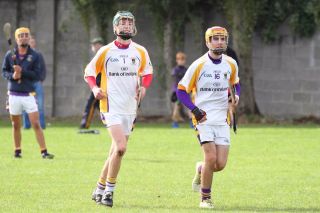 Minor Hurlers suffer defeat against Lucan in championship
