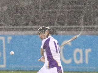 SHCA v Cr Chiarain