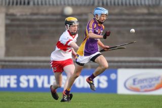 U16 Hurling Final v Whitehall