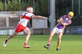 U16 Hurling Final v Whitehall