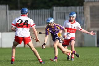 U16 Hurling Final v Whitehall