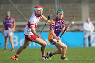 U16 Hurling Final v Whitehall