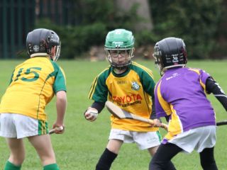 U8's Hurling Blitz